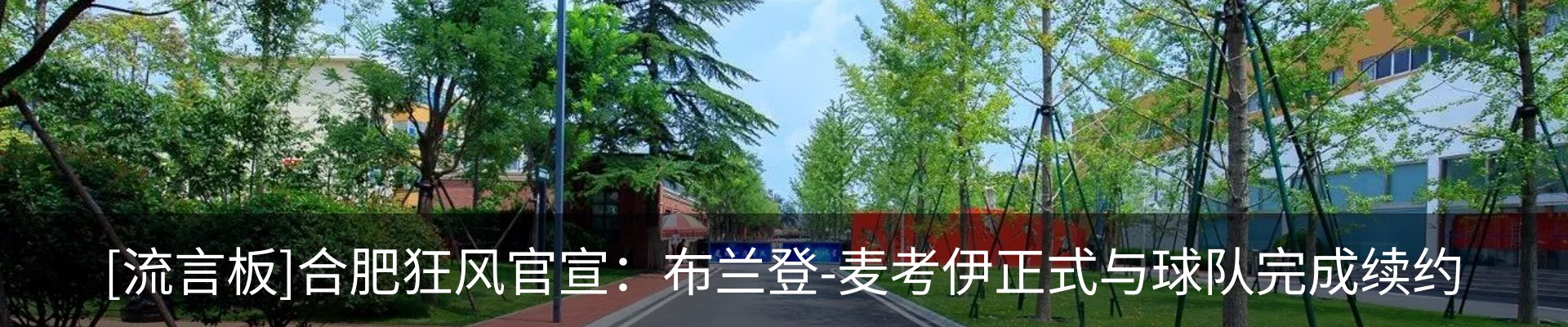 最新动态